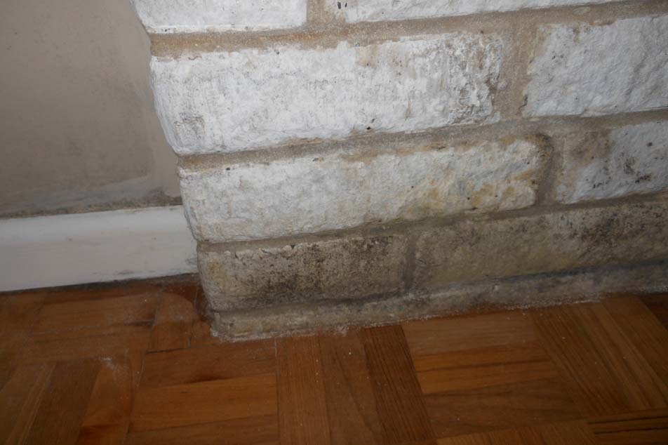 Penetrating damp - Internal Investigation - PCA